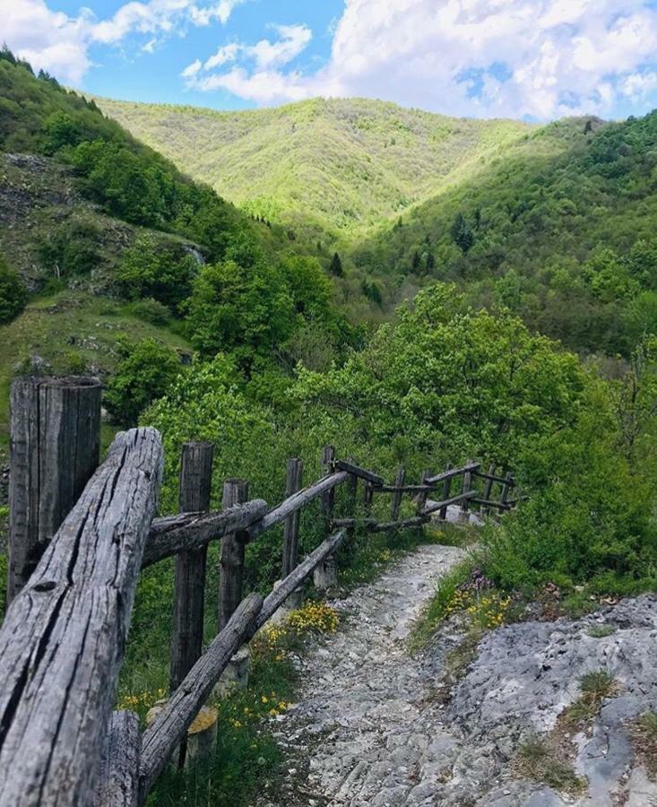 B&B Pisolo E I Persi Pien Roccasparvera Eksteriør bilde